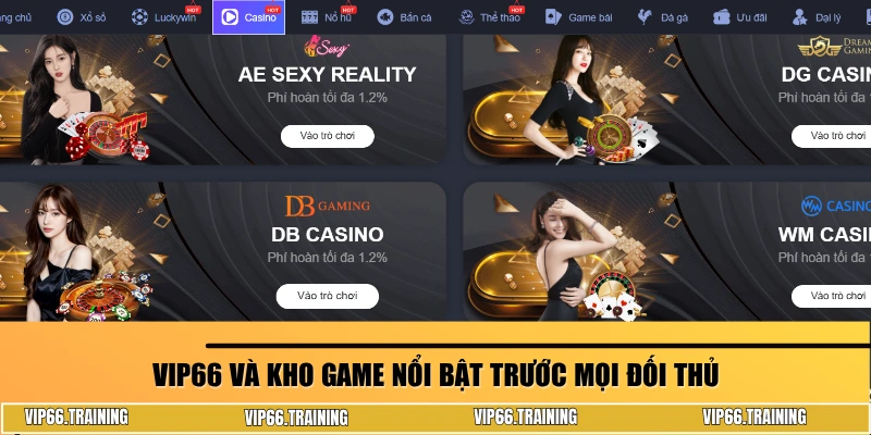 Các sản phẩm nổi bật của VIP66